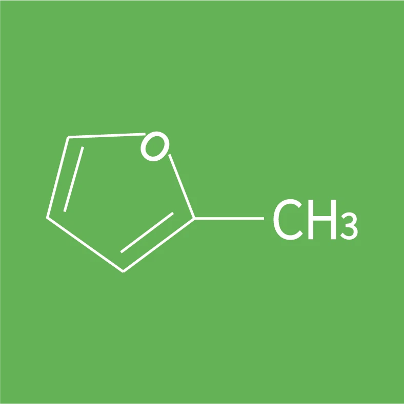 2-Methylfuran CAS 534-22-5